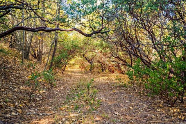 2810 Three Peaks Lane, Julian, CA 92036