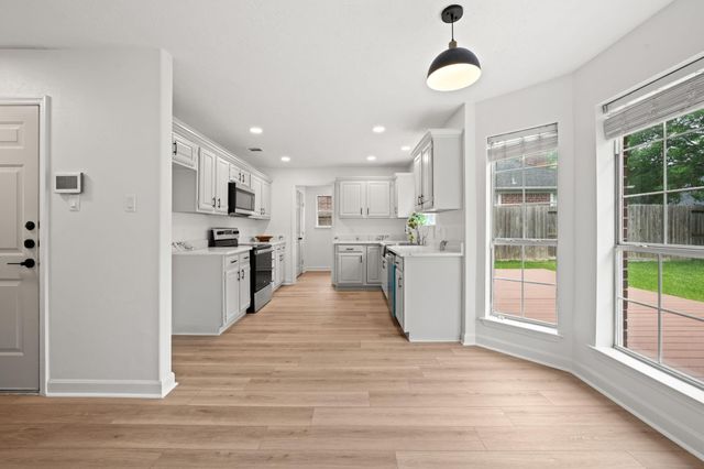 1219 Hollow Ash Lane, Katy, TX 77450