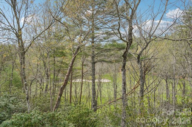 304 Pine Forest Trace, Hendersonville, NC 28739