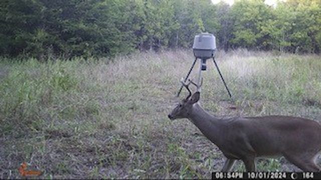 8389 County Road 502, Blue Ridge, TX 75424