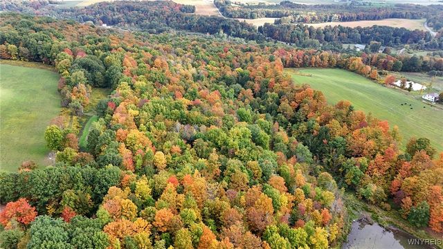 8246 Ballard Road, Centerville, NY 14735