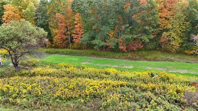 8246 Ballard Road, Centerville, NY 14735