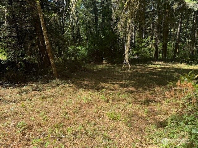 20325 Bucoda Highway SE, Centralia, WA 98531