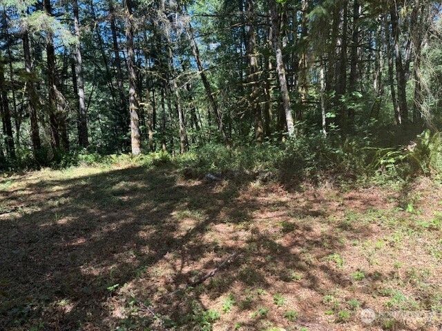 20325 Bucoda Highway SE, Centralia, WA 98531