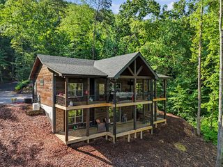 240 Pink Pig Lane, Cherry Log, GA 30522