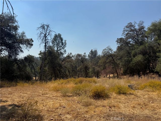 5393 Schafer Rd, Mariposa, CA 95338