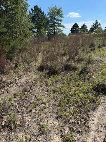TBD Mockingbird LN, Bastrop, TX 78602