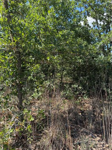 TBD Mockingbird LN, Bastrop, TX 78602