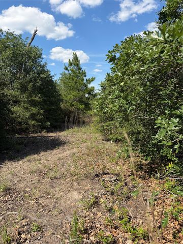 TBD Mockingbird LN, Bastrop, TX 78602
