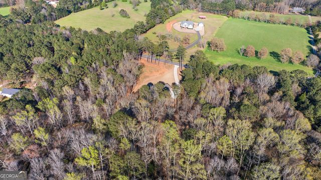 723 Sid Hunter Road, Senoia, GA 30276