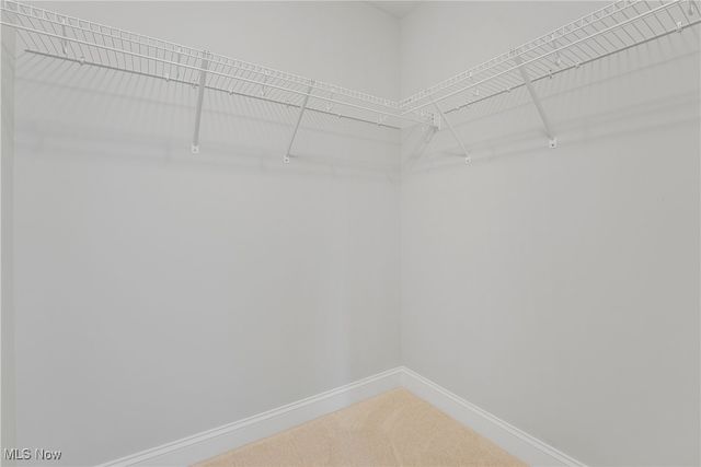 2962 Flossy Court, Willoughby, OH 44094