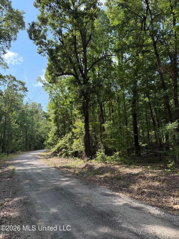 80 Co Rd 5009, Como, MS 38619 — photo 2