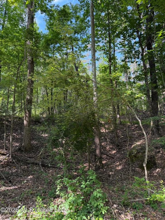 80 Co Rd 5009, Como, MS 38619 — photo 3