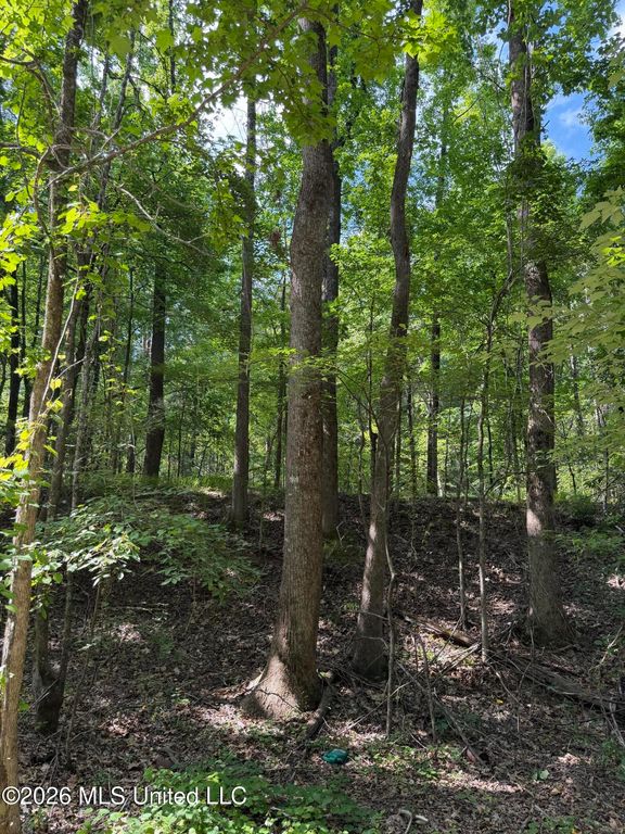 80 Co Rd 5009, Como, MS 38619 — photo 4
