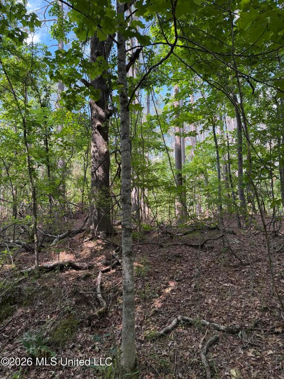 80 Co Rd 5009, Como, MS 38619 — photo 5