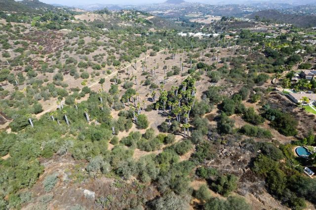 19.22 Acres Mirar De Valle 28, Valley Center, CA 92082