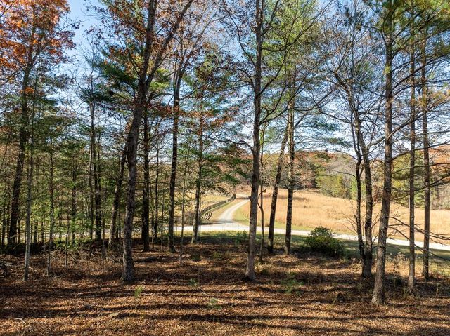Lot 3 Spring Camp Road, Ellijay, GA 30536