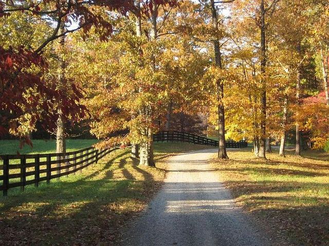 Lot 3 Spring Camp Road, Ellijay, GA 30536