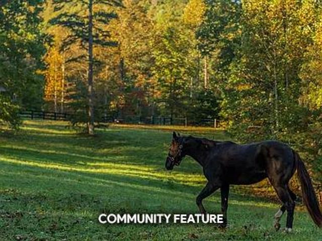 Lot 3 Spring Camp Road, Ellijay, GA 30536