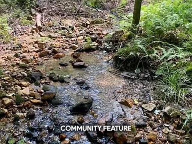 Lot 3 Spring Camp Road, Ellijay, GA 30536