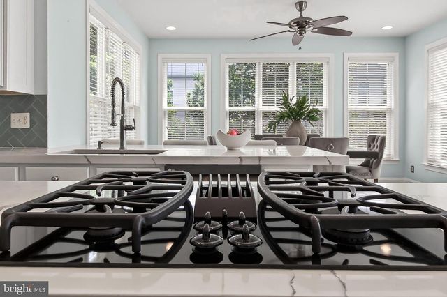 22810 COURTLAND PARK DR, Brambleton, VA 20148
