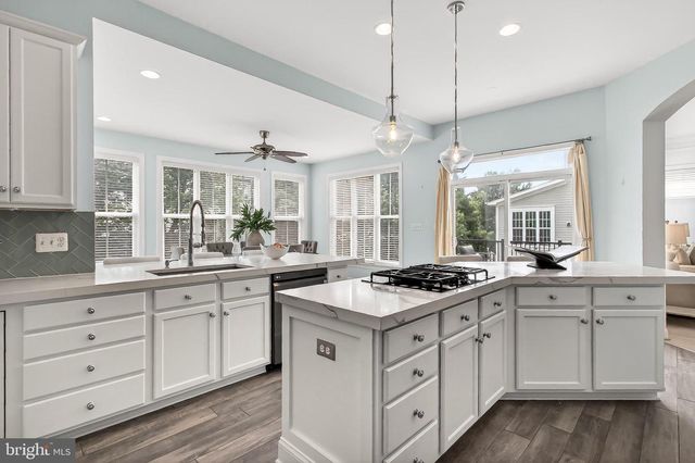22810 COURTLAND PARK DR, Brambleton, VA 20148