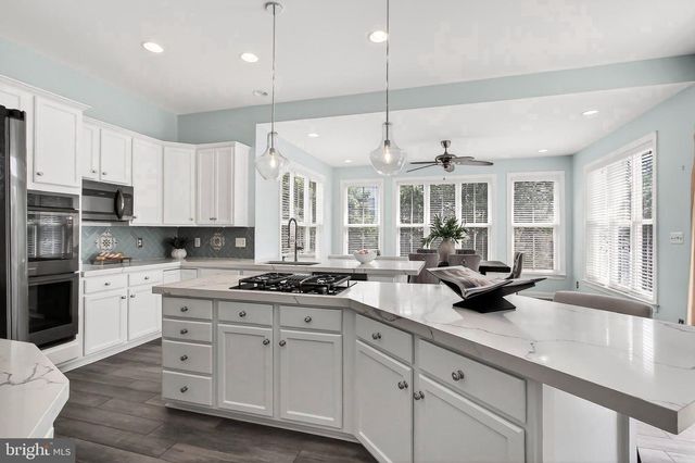 22810 COURTLAND PARK DR, Brambleton, VA 20148