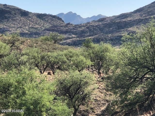 TBD Cougar Pass # 116, Tubac, AZ 85646