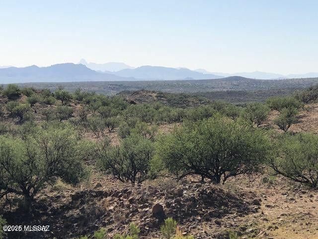 TBD Cougar Pass # 116, Tubac, AZ 85646