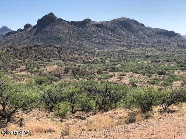 TBD Cougar Pass # 116, Tubac, AZ 85646