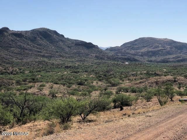 TBD Cougar Pass # 116, Tubac, AZ 85646