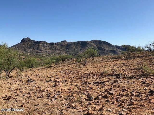 TBD Cougar Pass # 116, Tubac, AZ 85646