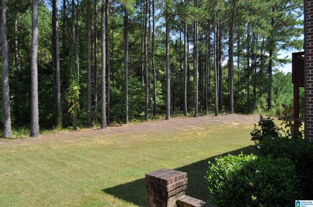 1102 DUNSMORE DRIVE, Chelsea, AL 35043