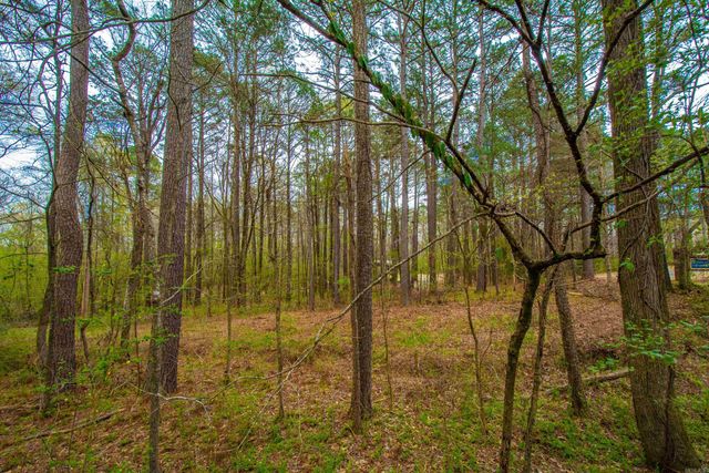 8 Parkview Drive, Bryant, AR 72022