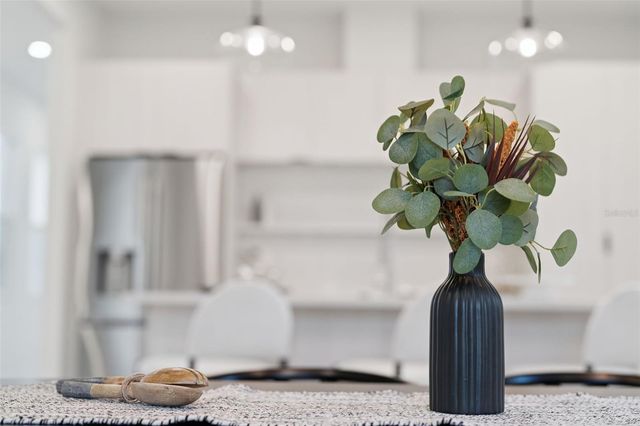 454 SKYFIELD COURT, Lady Lake, FL 32159