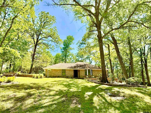 13299 Spring Creek Dr, Flint, TX 75762