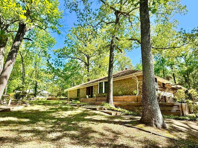 13299 Spring Creek Dr, Flint, TX 75762