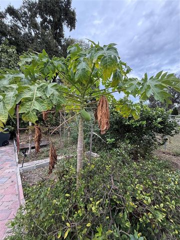 3507 CURTIS DRIVE, Apopka, FL 32703