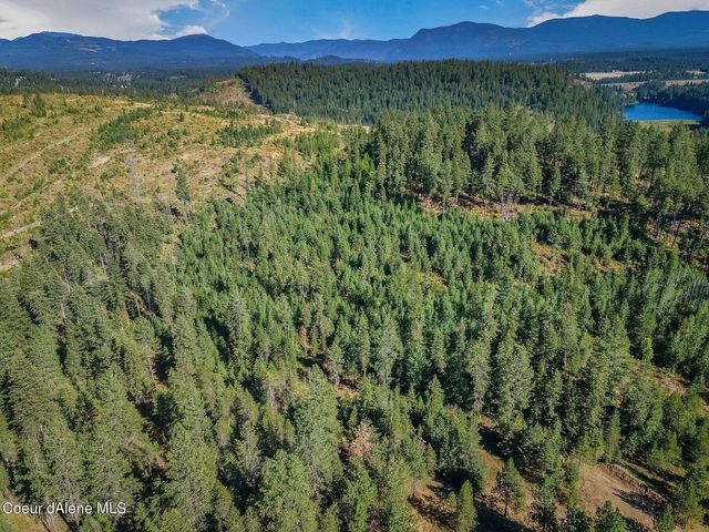L3 Smokewood Dr, Athol, ID 83801