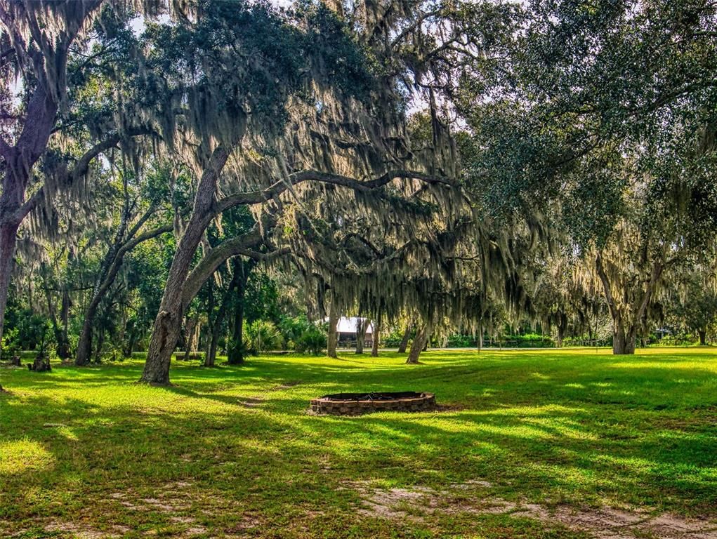 Image 67 of property listing at 1800 RENDY ROAD, New Smyrna Beach, FL 32168