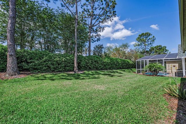 10324 SORENSTAM DRIVE, Trinity, FL 34655