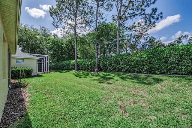 10324 SORENSTAM DRIVE, Trinity, FL 34655