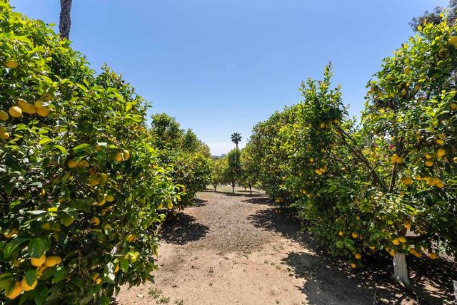 16733 Calle Hermosa, San Diego, CA 92127