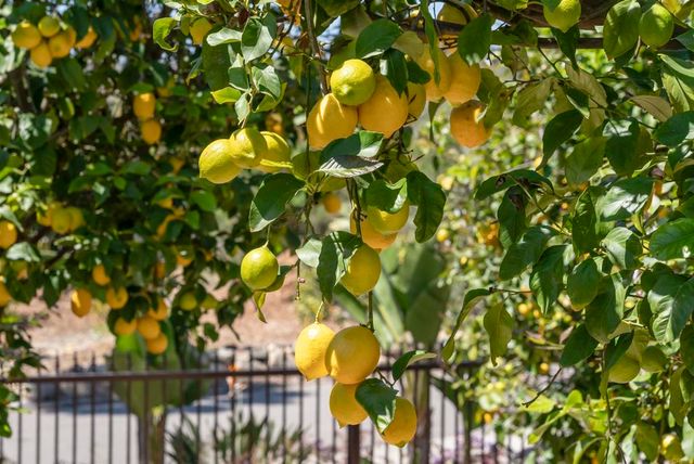 16733 Calle Hermosa, San Diego, CA 92127