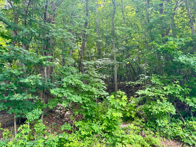 Lot 21 Country Drive, Kingsport, TN 37664