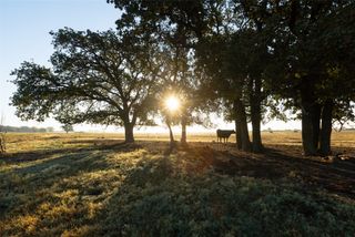 TBD Brushy Road Tract 2, Granbury, TX 76048