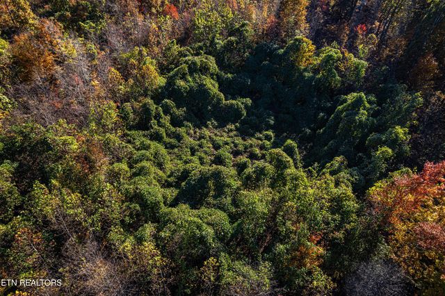 247 Mahoney Rd, Oliver Springs, TN 37840