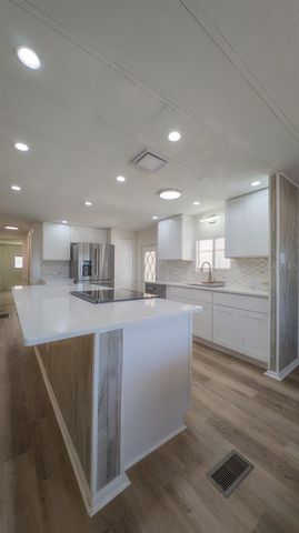 229 DIXIE, Tarpon Springs, FL 34689