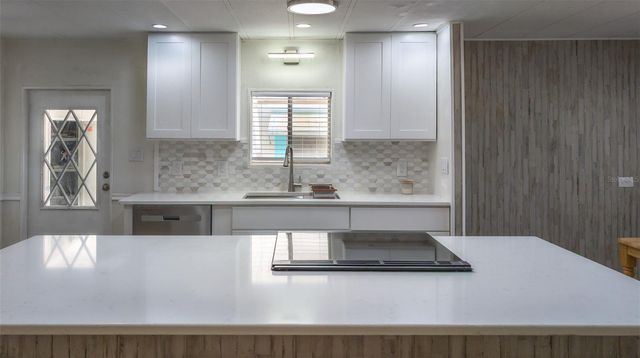 229 DIXIE, Tarpon Springs, FL 34689