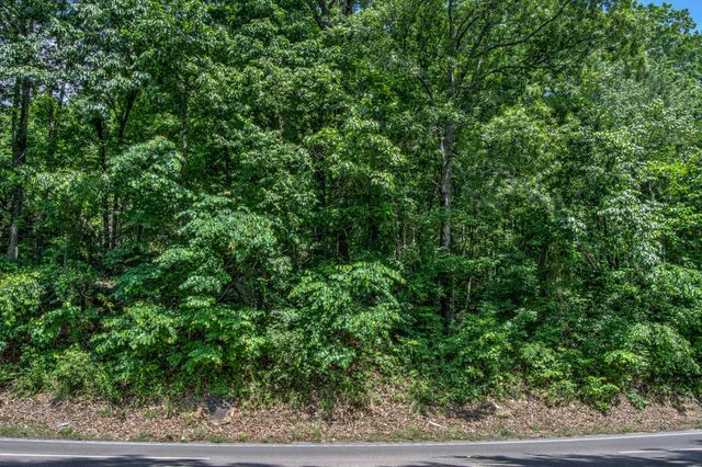 136 Ga 136, Trenton, GA 30752